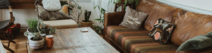 All Sofa Set