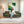 Lisbon Neo 3 Seater Wooden Sofa Cum Bed - ( Premium Molfino Fabric- Green )