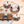 Lisbon Neo 4 Seater Wooden Sofa Cum Bed - ( Premium Molfino Fabric- Beige )