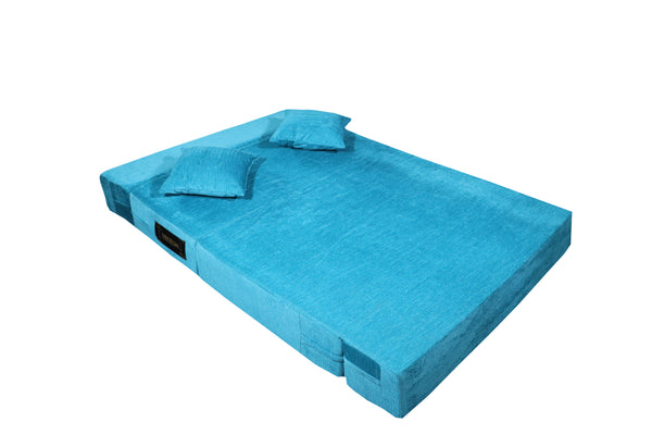 Rejoice Sofa Cum Bed - 2  Seater, Plain Cushion ( Premium Molfino Fabric, Sky Blue )