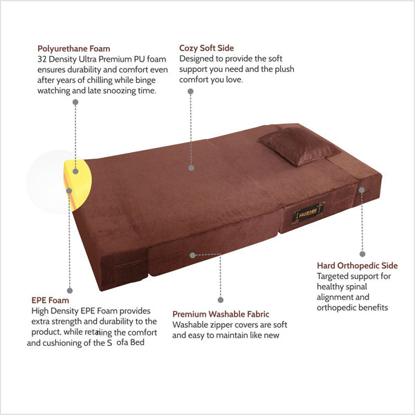 Rejoice Sofa Cum Bed - 1 Seater, Plain Cushion ( Premium Molfino Fabric, Brown )