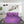 Rejoice Sofa Cum Bed - 2 Seater, Plain Cushion ( Premium Molfino Fabric, Purple )