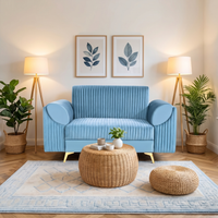 venice 2 seater sofa with plush suede fabric finish color sky blue