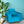 Berlin 1 Seater Sofa- ( Premium Molfino Fabric-Sky Blue )
